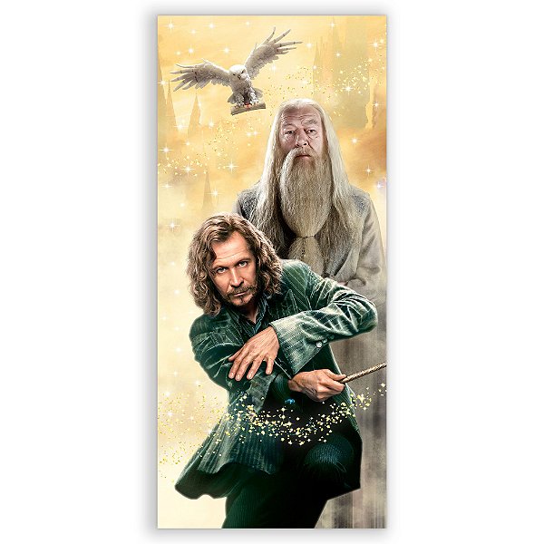 Faixa Lateral - Harry Potter - Sublimado 3D