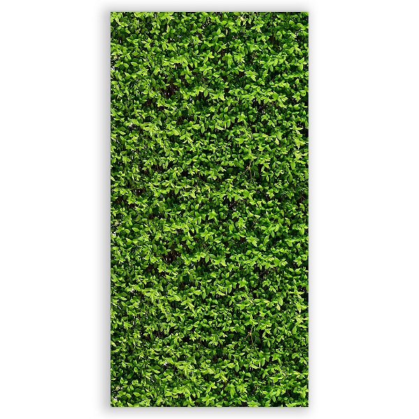 Faixa Lateral - Muro Ingles - Sublimado 3D