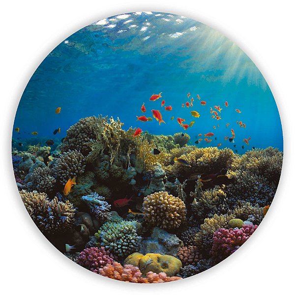 Painel Redondo - Fundo do Mar - Sublimado 3D