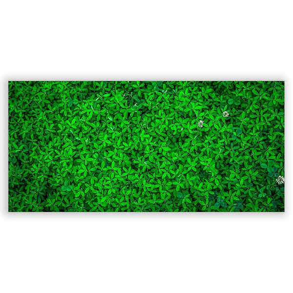 Painel Retangular - Muro Ingles - Sublimado 3D