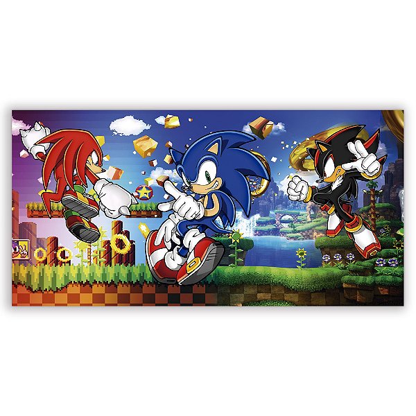 Painel Retangular - Sonic - Sublimado 3D