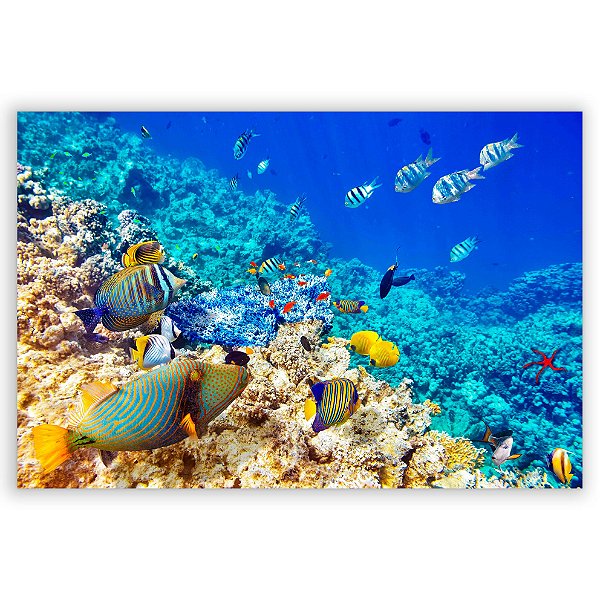 Painel Retangular - Fundo do Mar - Sublimado 3D