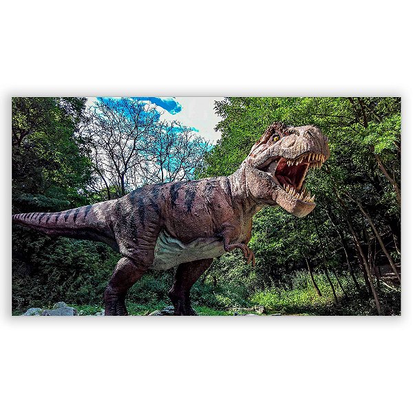 Painel Retangular - Dinossauro - Sublimado 3D