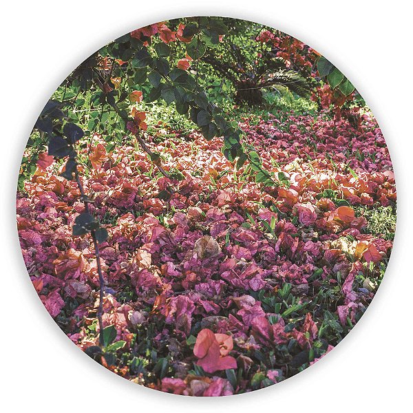 Painel Redondo - Jardim - Sublimado 3D