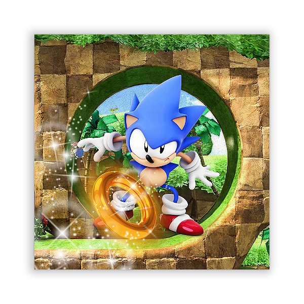 Painel Quadrado - Sonic - Sublimado 3D