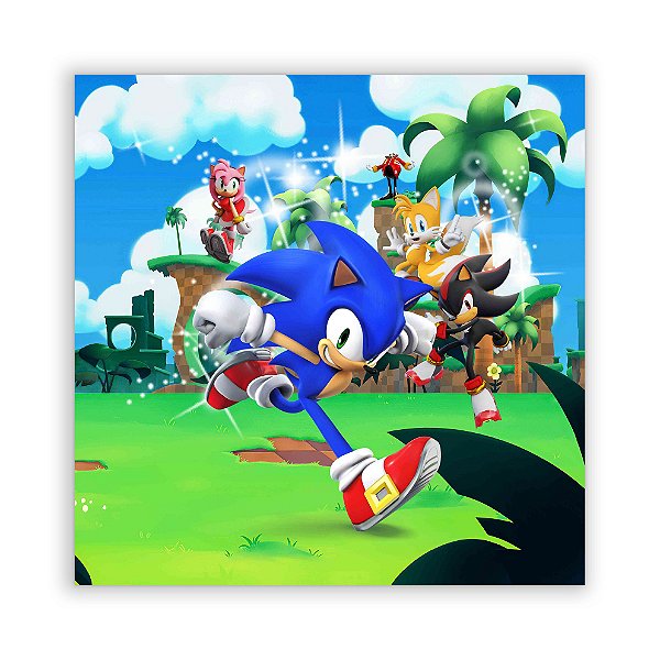 Painel Quadrado - Sonic - Sublimado 3D