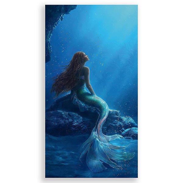 Faixa Lateral - Ariel Filme - Sublimado 3D