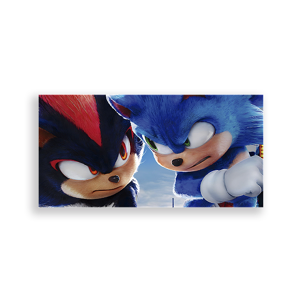 Painel Retangular - Sonic Shadow - Sublimado 3D