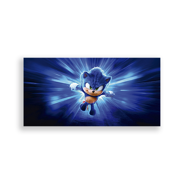 Painel Retangular - Sonic - Sublimado 3D