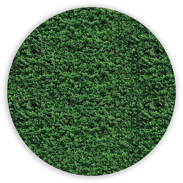 Mini Painel - Muro Ingles - Sublimado 3D