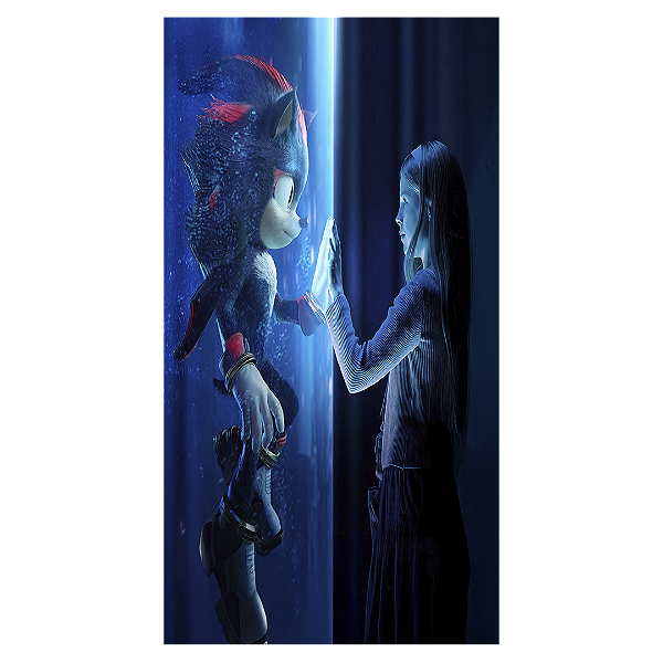 Faixa Lateral - Sonic Shadow - Sublimado 3D