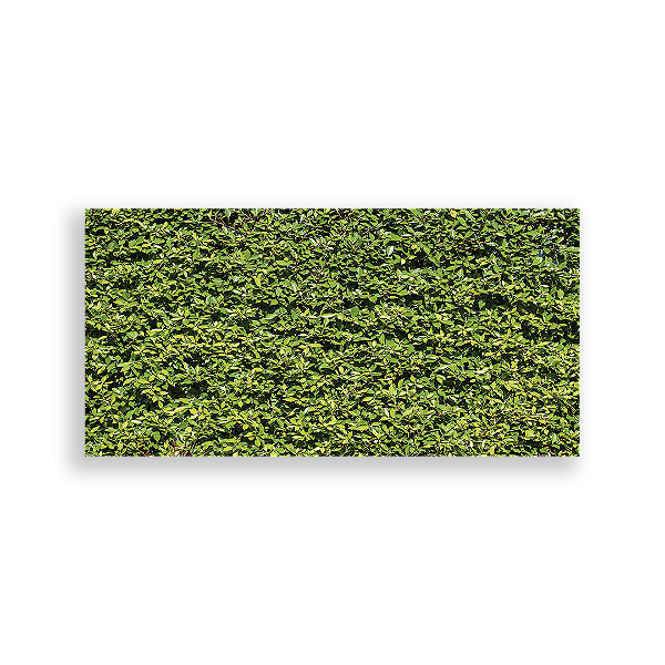 Painel Retangular - Fundo Muro Inglês Folhas - Sublimado 3D