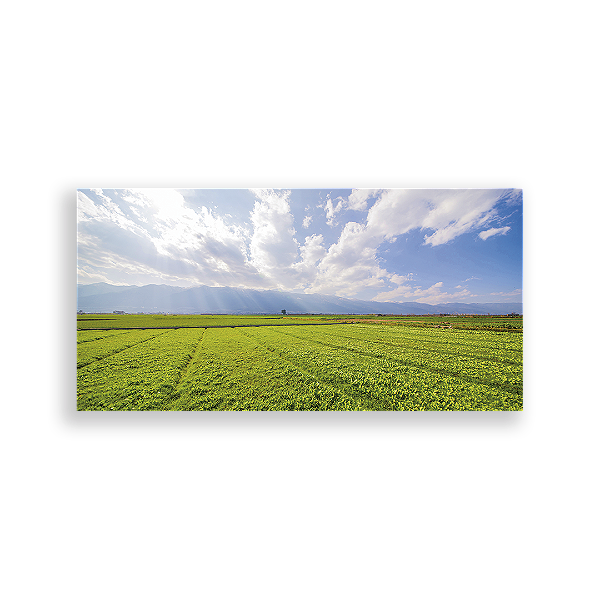 Painel Retangular - Fundo Mundo Grama - Sublimado 3D