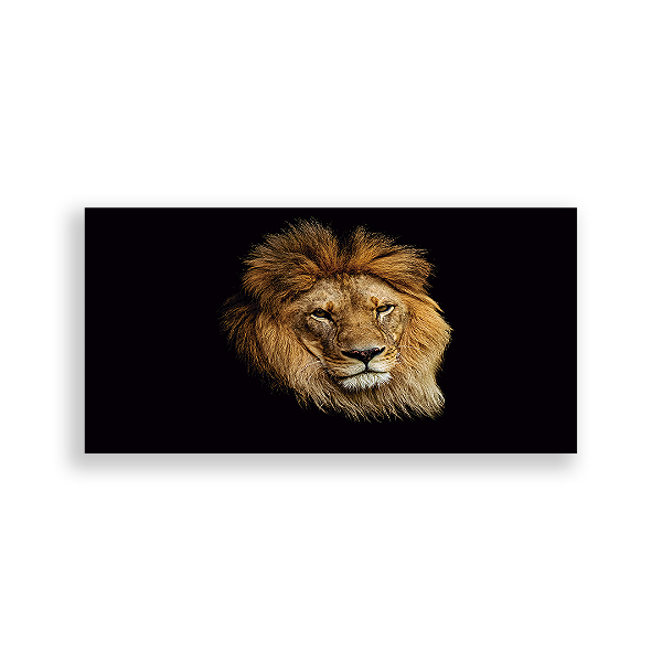 Painel Retangular - Leão - Sublimado 3D
