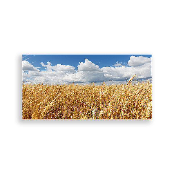 Painel Retangular - Fundo Mundo Trigo - Sublimado 3D