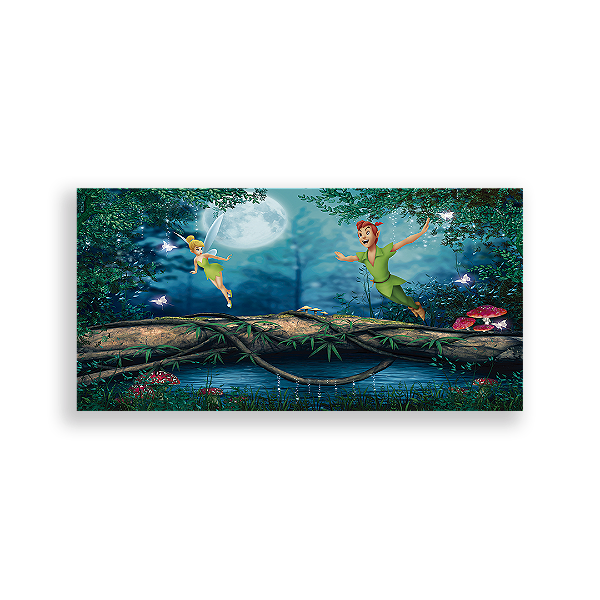 Painel Retangular - Peter Pan - Sublimado 3D