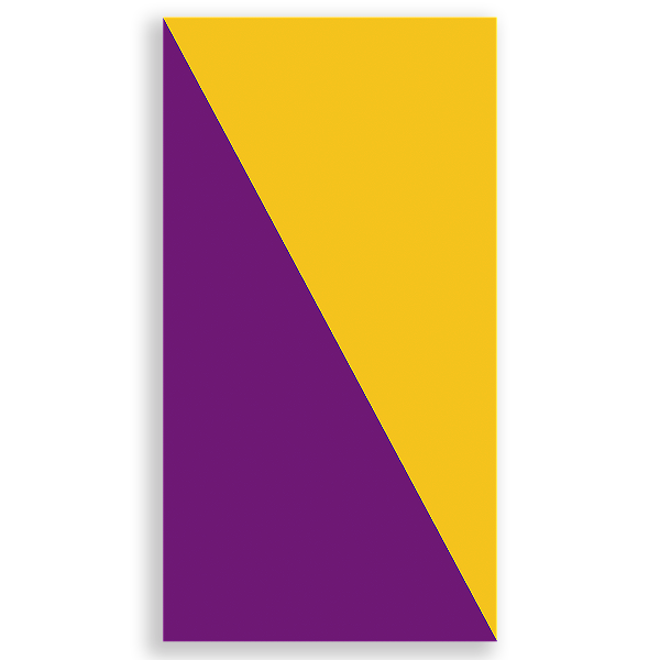 Faixa Lateral - Fini  - Sublimado 3D