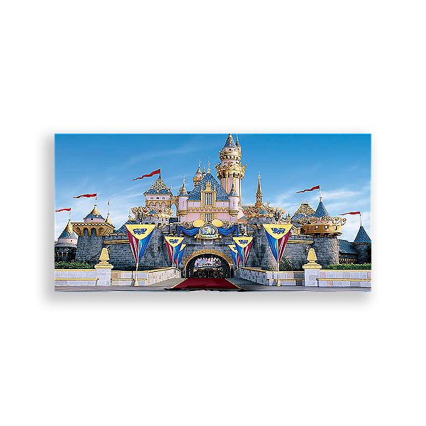Painel Retangular - Disney Castelos - Sublimado 3D