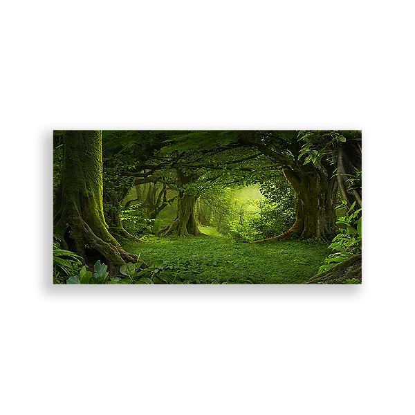 Painel Retangular - Floresta - Sublimado 3D