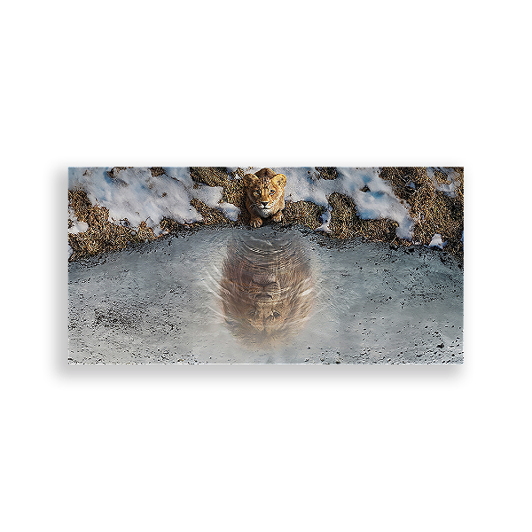 Painel Retangular - Mufasa - Sublimado 3D