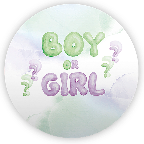 Mini Painel - Revelação - Sublimado 3D