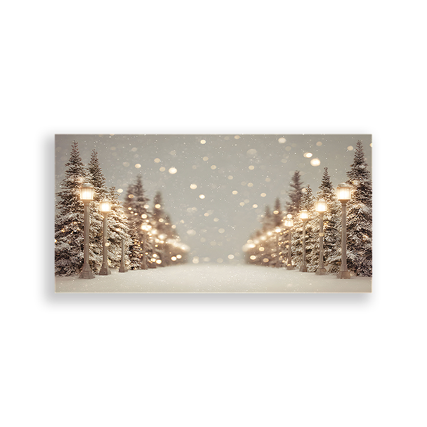 Painel Retangular Sublimado 3D - Fundo Fotografico Natal