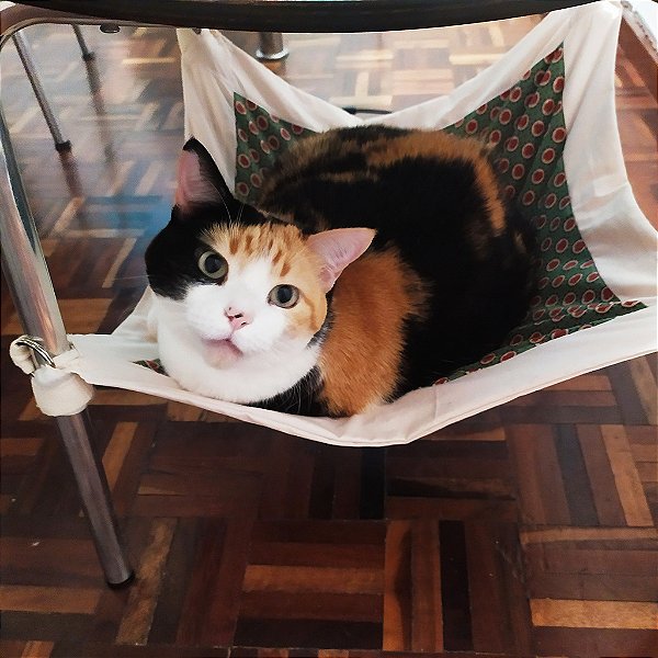 Rede Conforto Personalizada