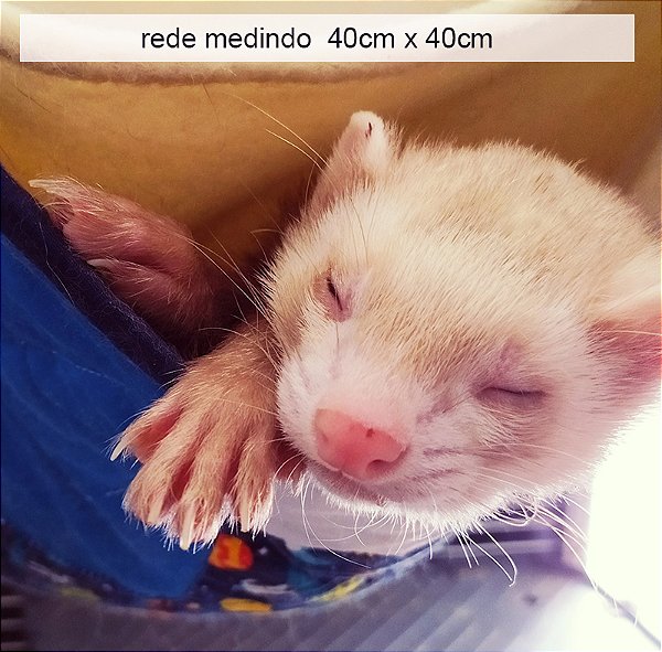 Rede Patch Block Personalizada