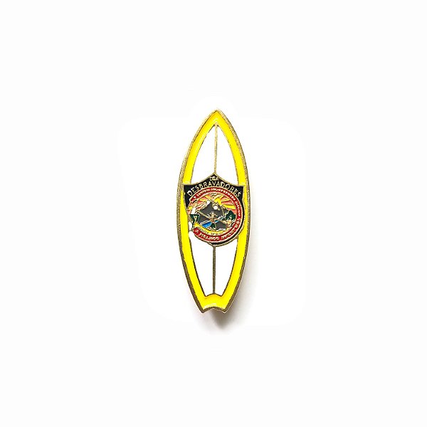 Pin, DSA 2019, Prancha das cores das classes, Amarelo, Desbravadores