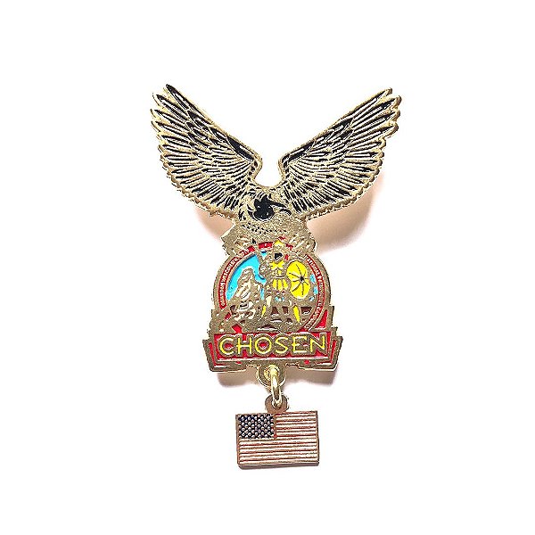 Pin, Águia com logo Chosen e pingente USA