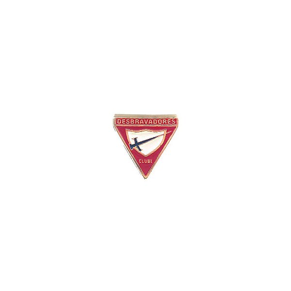 Pin, logo DBV