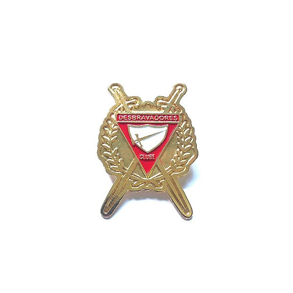 Pin, Logo DBV com espadas