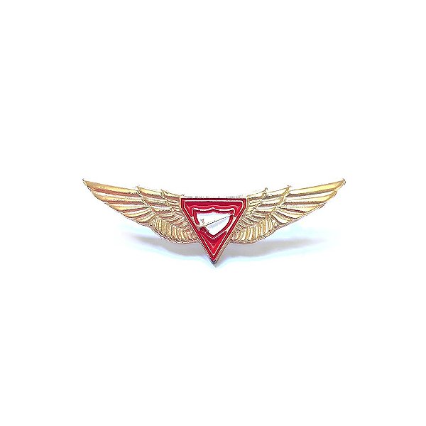 Pin, Logo D3, com asas