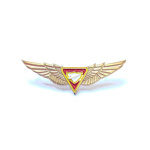 Pin, Logo D3, com contorno amarelo e com asas