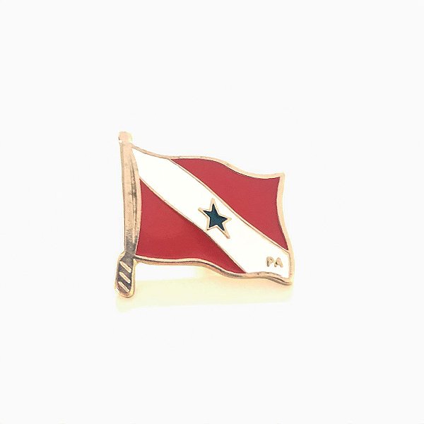Pin, Bandeira do Pará
