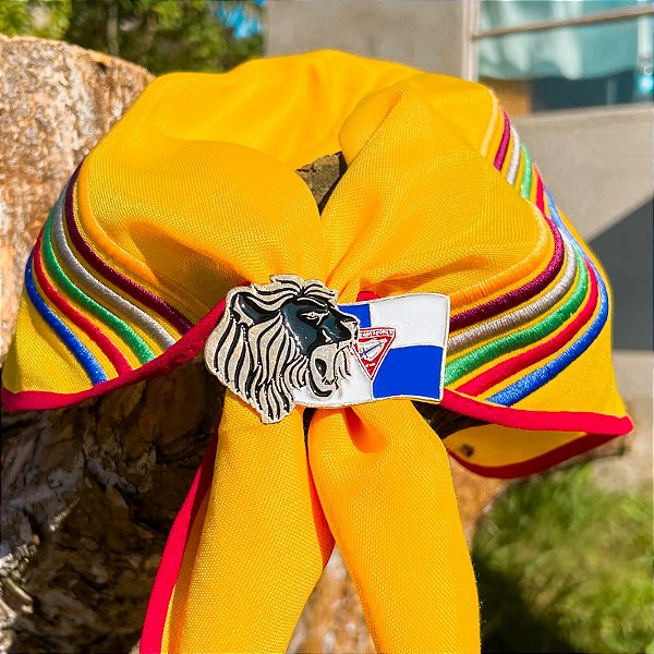 ARGANÉU/PRENDEDOR DE LENÇO LEÃO BANDEIRA DBV