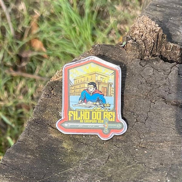 PIN USB 2023 "FILHO DO REI' IMPRESSÃO EM ALTA RESOLUÇÃO