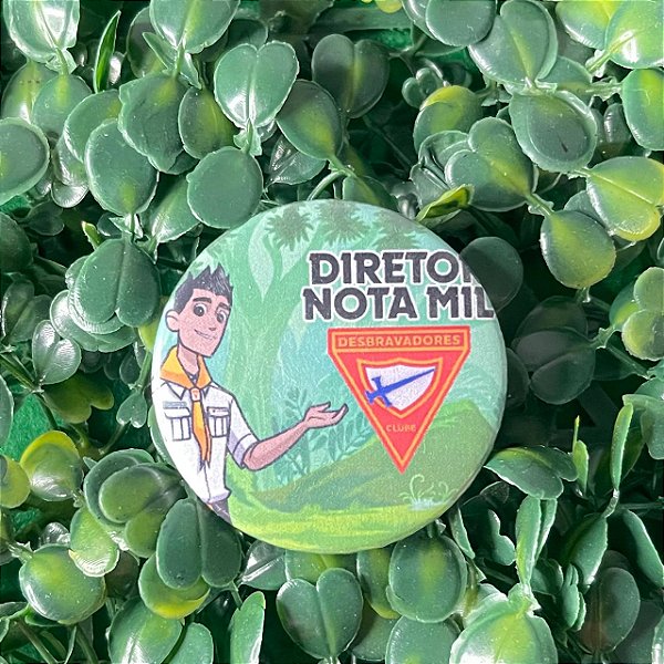 BOTONS DIRETOR NOTA MIL