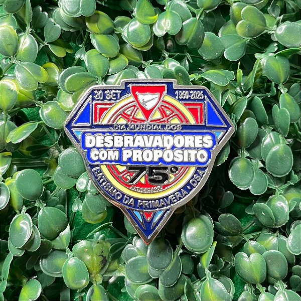 ARGANEL/PRENDEDOR DE LENÇO DIA MUNDIAL DO DESBRAVADOR 2025