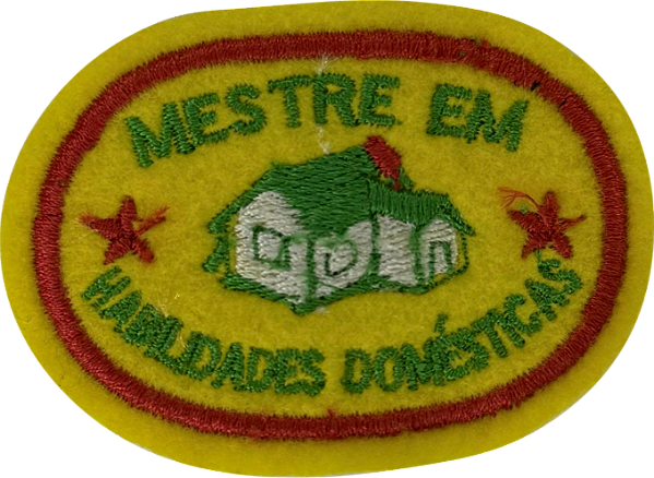 Mestre em Habilidades Domésticas