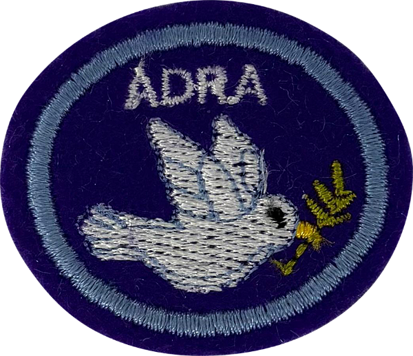 ESPECIDALIDADE DE ADRA - Resolução de Conflitos