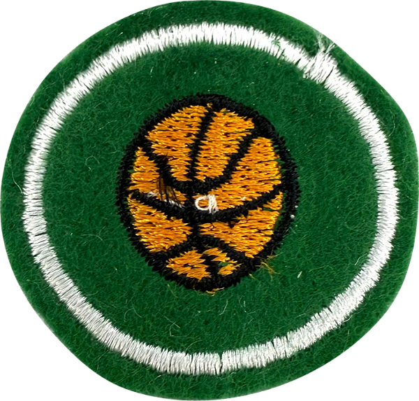 ESPECIALIDADE DBV ATIV. RECREATIVAS - Basquete