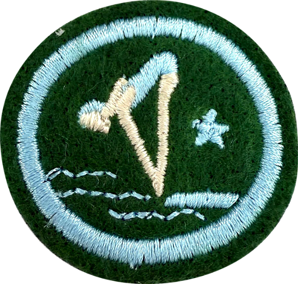 ESPECIALIDADE DBV ATIV. RECREATIVAS - Natação Avançada