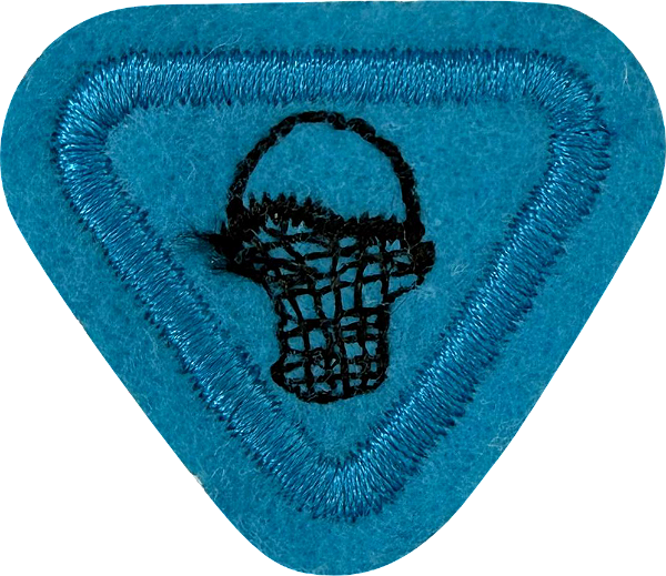 ESPECIALIDADE AVENTUREIROS, RECREATIVAS - Cesteiro