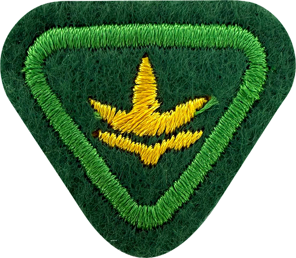 ESPECIALIDADE AVENTUREIRO ESTUDOS DA NATUREZA - Árvores