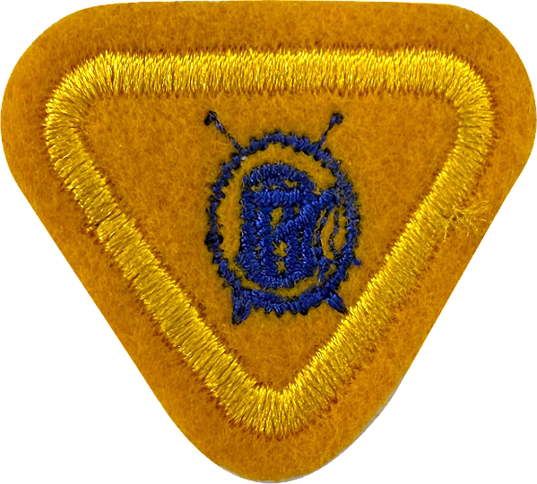 ESPECIALIDADE AVT ATIV. DOMÉSTICAS - Artesanato Caseiro