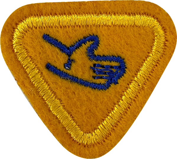 ESPECIALIDADE AVT ATIV. DOMÉSTICAS - Cortesia