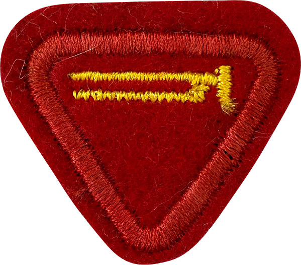 ESPECIALIDADE AVENTUREIROS, RECREATIVAS - Carpinteiro