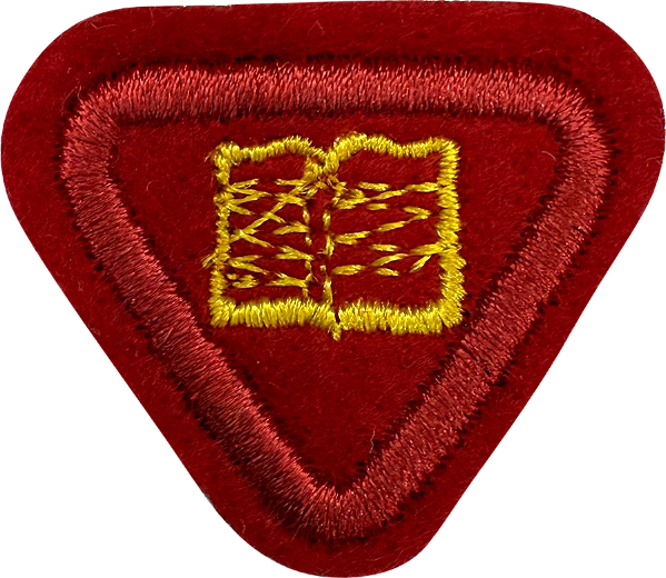 ESPECIALIDADE AVENTUREIROS, RECREATIVAS - Excelência na Leitura