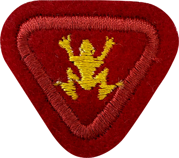 ESPECIALIDADE AVENTUREIROS, RECREATIVAS - Natação I